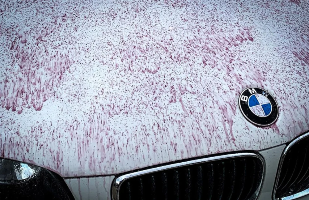 Car Paintwork Decontamination